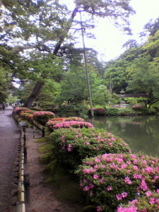 霧雨の兼六園